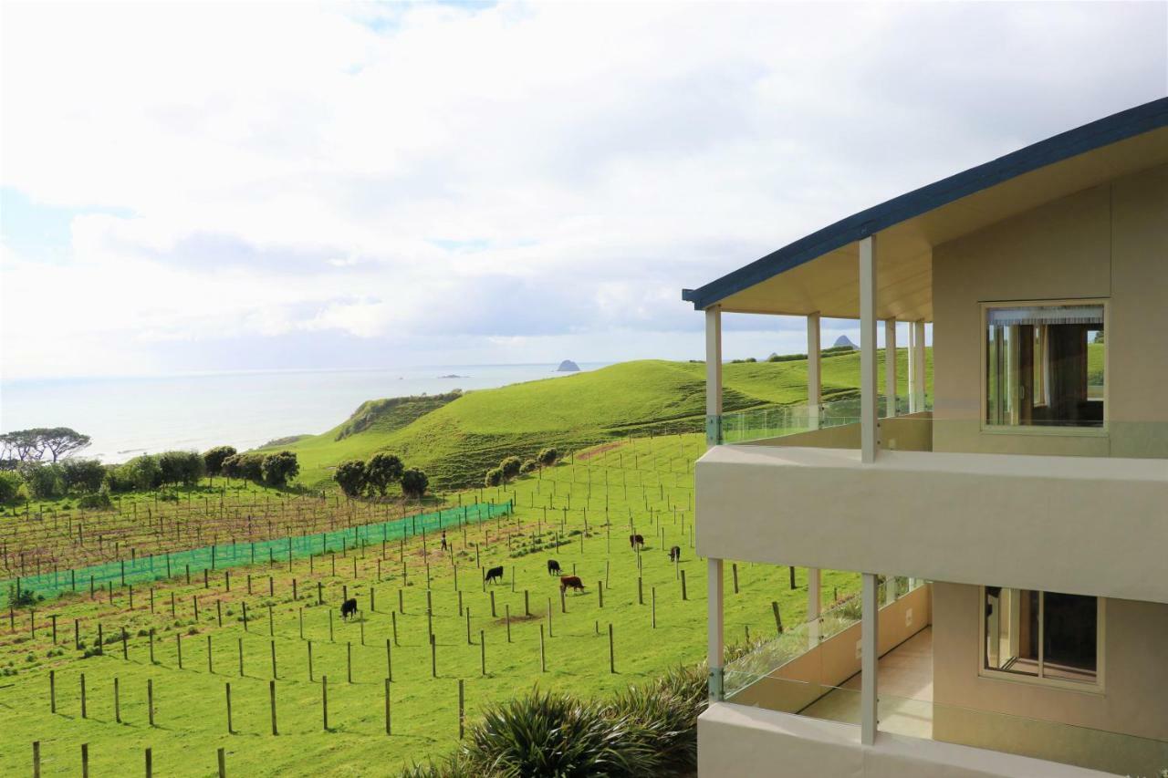 Chalets At Okurukuru New Plymouth Kültér fotó