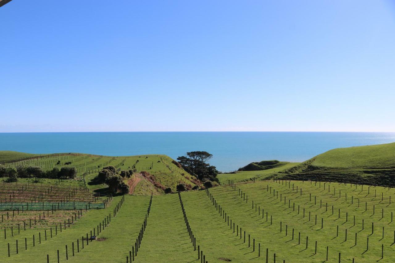 Chalets At Okurukuru New Plymouth Kültér fotó