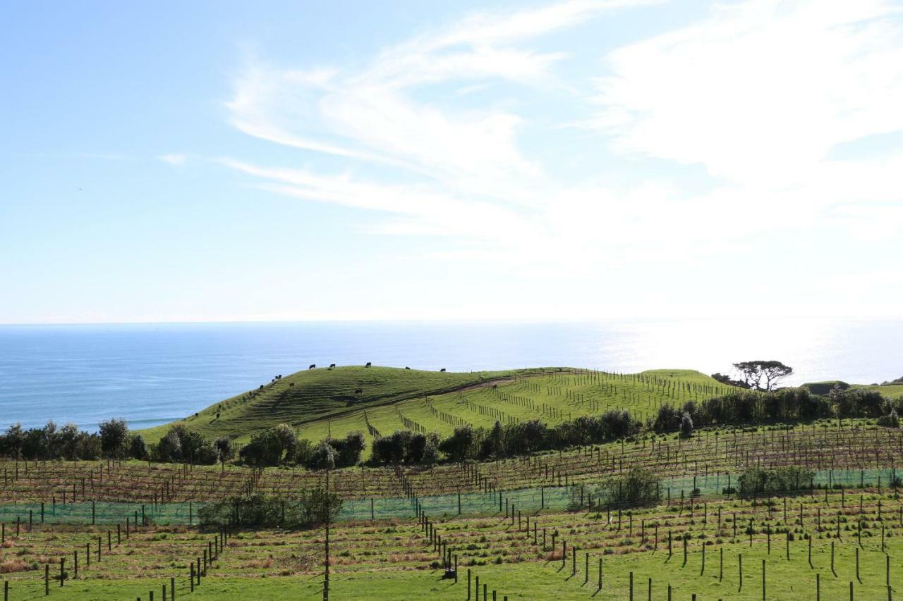 Chalets At Okurukuru New Plymouth Kültér fotó
